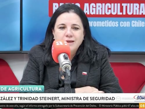 Ministra Steinert reconoce que “no me esperaba” tanta demanda por un “plan de seguridad estructurado”