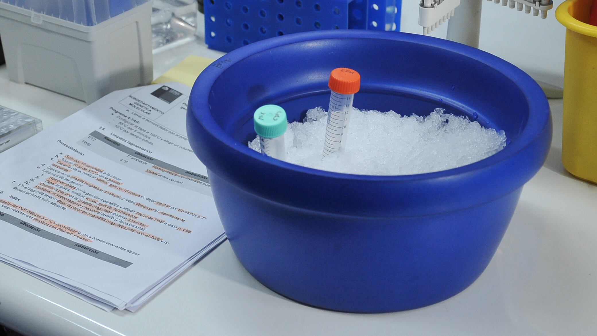 Minsal aborda la emergencia de salud pública de importancia internacional por viruela del mono | 20 DE AGOSTO DEL 2024 / SANTIAGO
La ministra de Salud, Ximena Aguilera, Junto al representante de OPS/OMS en Chile y autoridades de la Salud, aborda la emergencia de salud pública de importancia internacional por el brote de viruela símica, declarada por la OMS, dónde se refiere al sistema de vigilancia y la capacidad diagnóstica con los que cuenta Chile para hacer frente a esta enfermedad.
FOTO: VICTOR HUENANTE / AGENCIAUNO