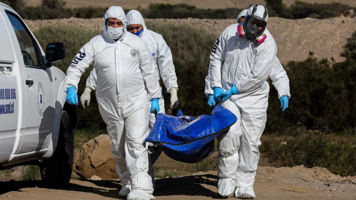 Hallazgo de cadáver en regadio de Colina