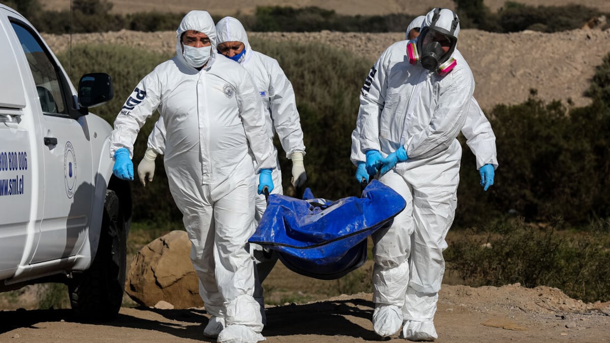 Hallazgo de cadáver en regadio de Colina