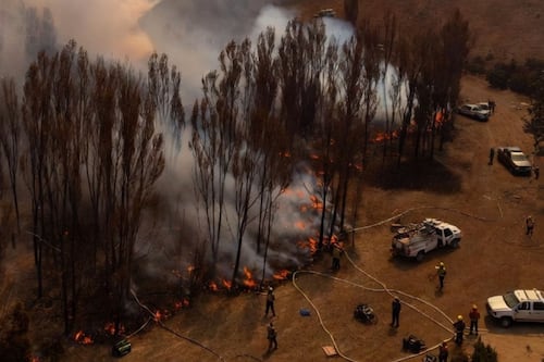 Incendios forestales mantienen en alerta al centro-sur de Chile