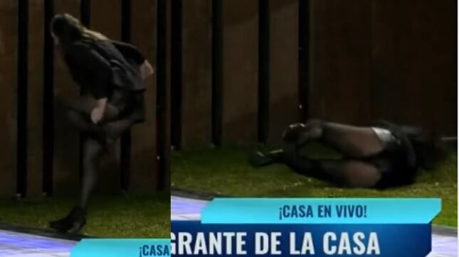 La querida participante de Gran Hermano, Trinidad Cerda, protagonizó un divertido momento tras perder el equilibrio y caer de espaldas cuando intentaba colocarse uno de sus tacones.
Todo ocurrió cuando los integrantes del reality salieron a recibir a “Bigotes”, el nuevo integrante de cuatro patas, cuando la tripulante de vuelo “compró terreno” en la casa estudio.
Fue durante la noche, cuando el canino hizo ingreso de manera bastante tímida, por lo cual Trinidad se atrevió a acercarse para hacerle cariño. Producto de ello, decidió quitarse los botines, para que el sonido de los tacos no asustara al canino.
Tras regalonearlo, Trinidad volvió a colocarse los zapatos para ingresar a la casa, pero de desequilibró y cayó de espaldas al pasto.
Si bien en primera instancia Francisca, quien estaba junto a ella, se mostró bastante preocupada, después liberó una gran carcajada ante lo cómico de la situación. Sin embargo, a Trinidad no le causó mucha gracia y pidió que la ayudara a limpiarse la espalda.