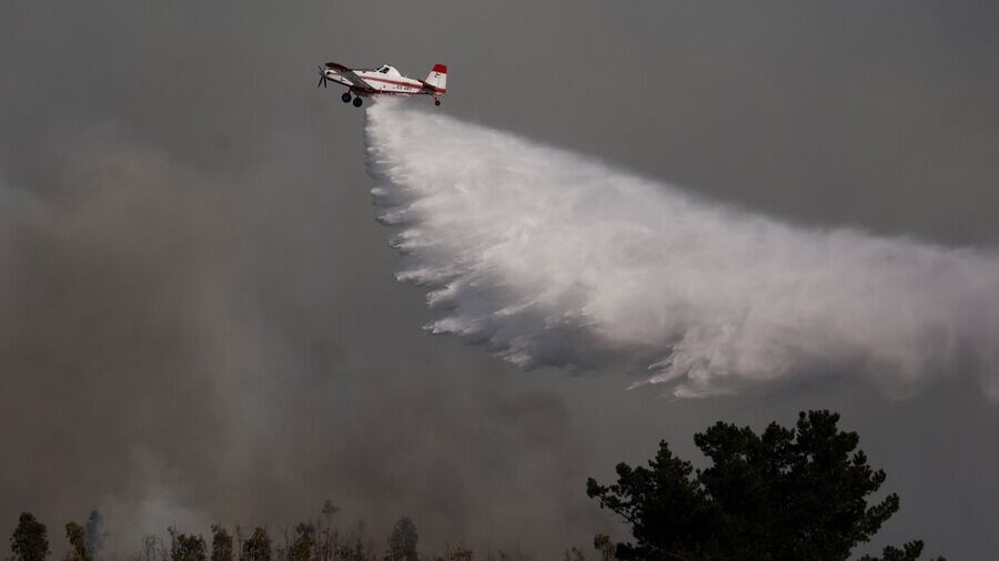 Incendios forestales en Valparaíso