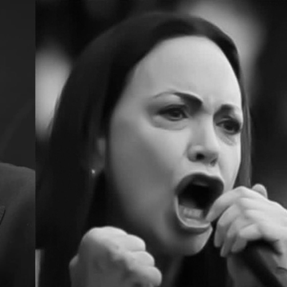 Julian Assange denuncia al Nobel por premio a María Corina Machado Julian Assange denuncia al Nobel por premio a María Corina Machado