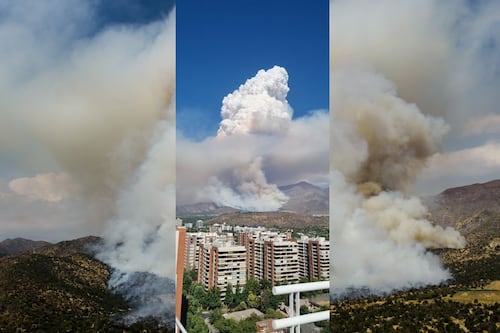 Incendio forestal en Las Condes genera extensa columna de humo visible en Santiago