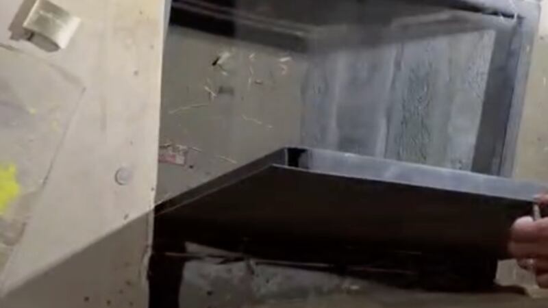 Carabineros encuentra búnker subterráneo donde banda mantenía secuestrada a sus víctimas