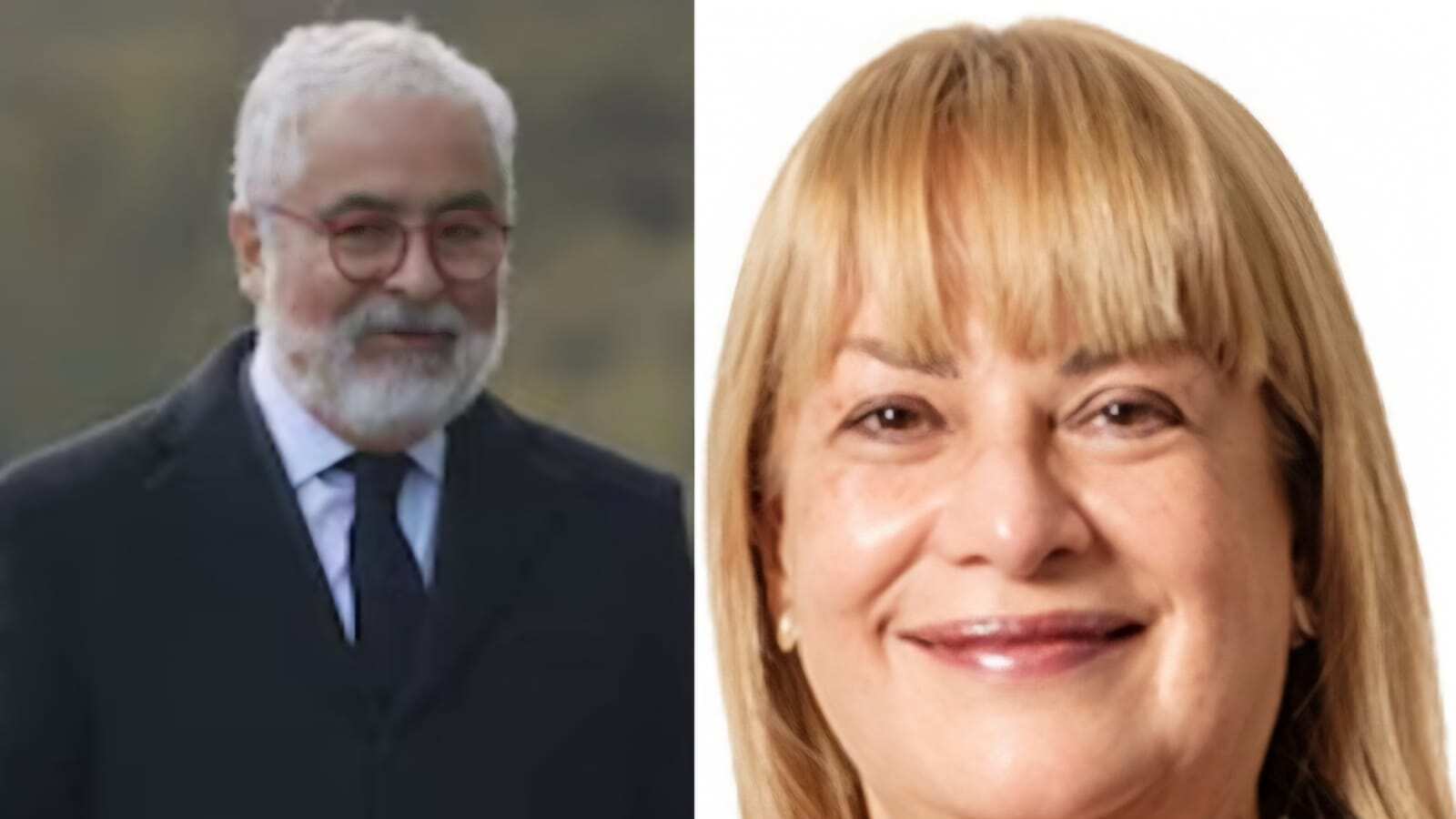 Luis Hermosilla y Ángela Vivanco