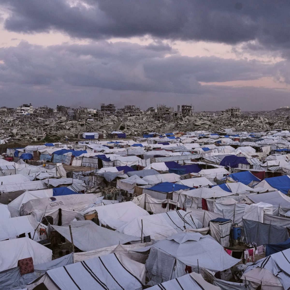 Trump invita a Putin a unirse a la Junta de Paz para supervisar cese al fuego en Gaza Trump invita a Putin a unirse a la Junta de Paz para supervisar cese al fuego en Gaza