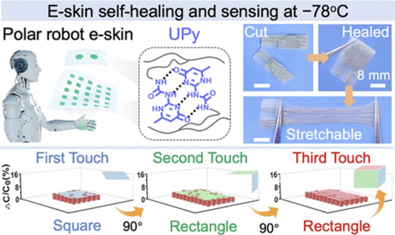 Un grupo de científicos chinos ha creado una piel electrónica (e-skin) que resiste temperaturas de hasta -78° C.