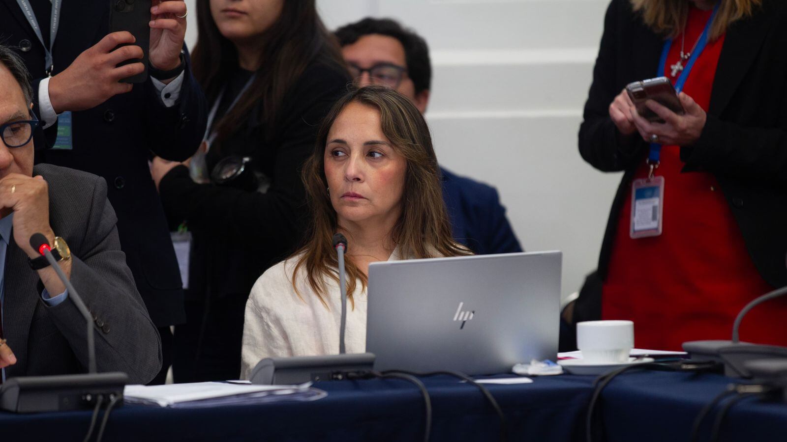 Diputada Carla Morales