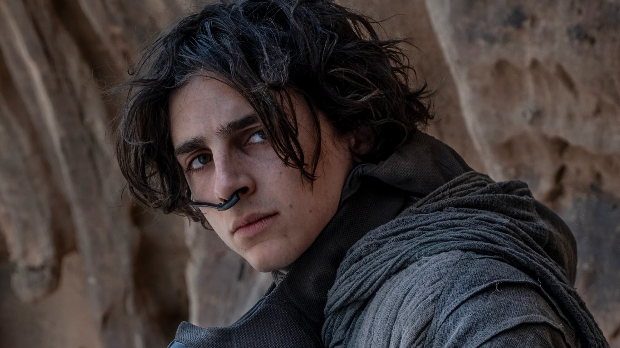 Timothée Chalamet es una de las estrellas más cotizadas