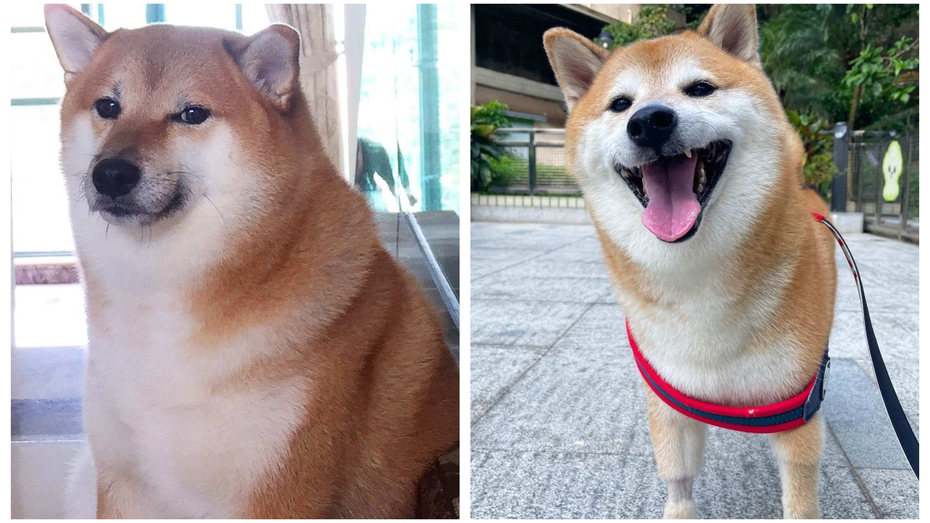 Cheem Balltze fue diagnosticado el pasado miércoles con un cáncer.