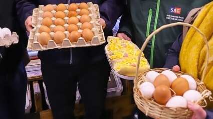 Huevos envasados para la venta en comercios chilenos.