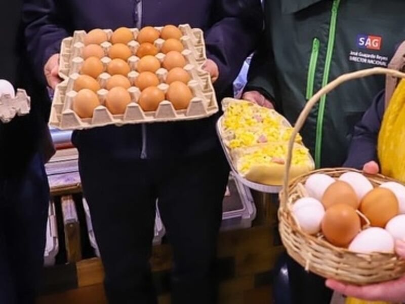 SAG anuncia la reanudación de ingreso de productos avícolas desde Brasil tras superarse brote de influenza aviar