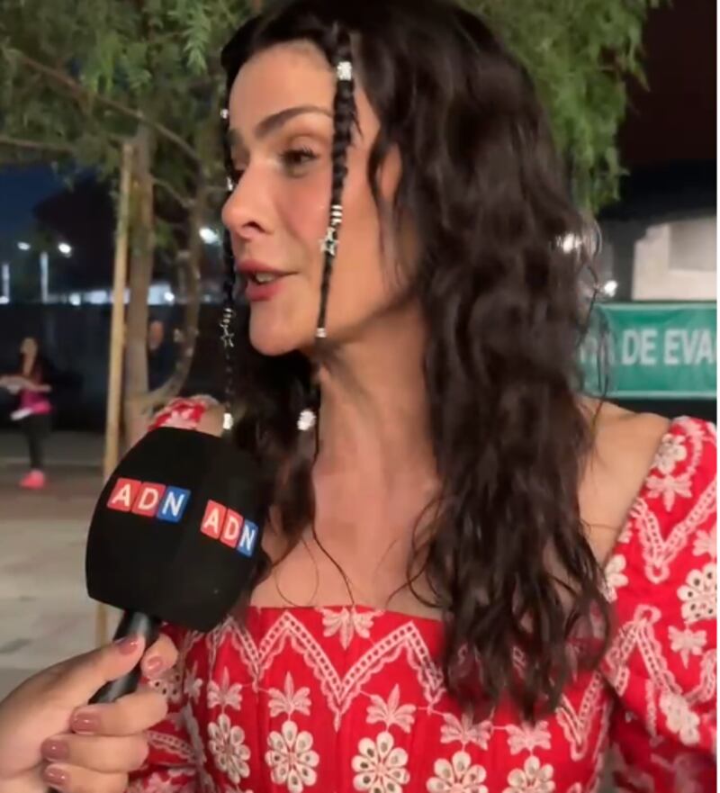 Tonka Tomicic arriba al Estadio Nacional para el concierto de Shakira.