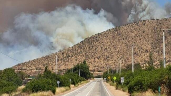 Incendio en Curacaví