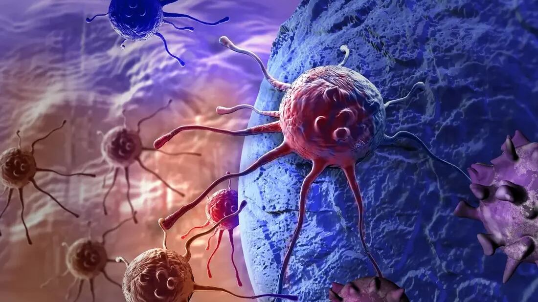 Científicos desarrollaron una técnica revolucionaria que reprograma las células inmunitarias dentro de los tumores para que ataquen al cáncer. Foto: Laboratorios Legrand.