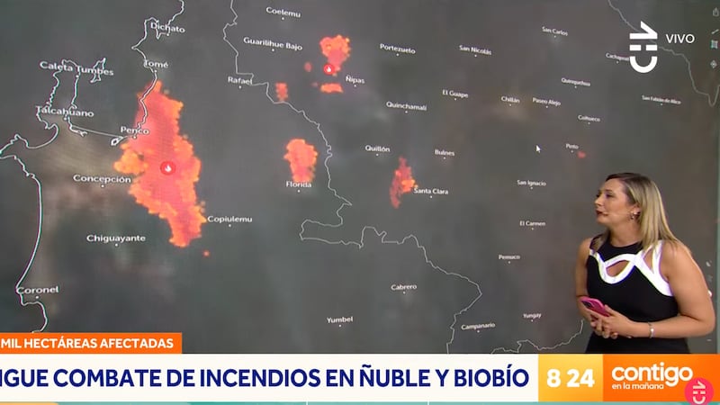 Allison Göhler asegura que magnitud de incendios forestales en Ñuble y Biobío es “22 veces la comuna de Providencia” y anticipa altas temperaturas