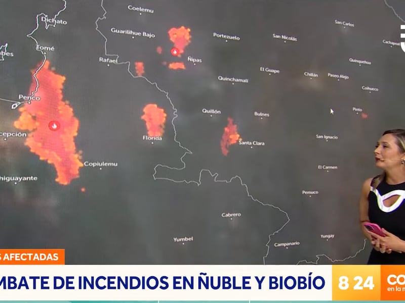 Allison Göhler asegura que magnitud de incendios forestales en Ñuble y Biobío es “22 veces la comuna de Providencia” y anticipa altas temperaturas
