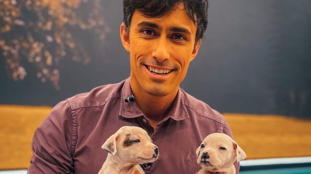 El periodista de Chilevisión, Roberto Cox.