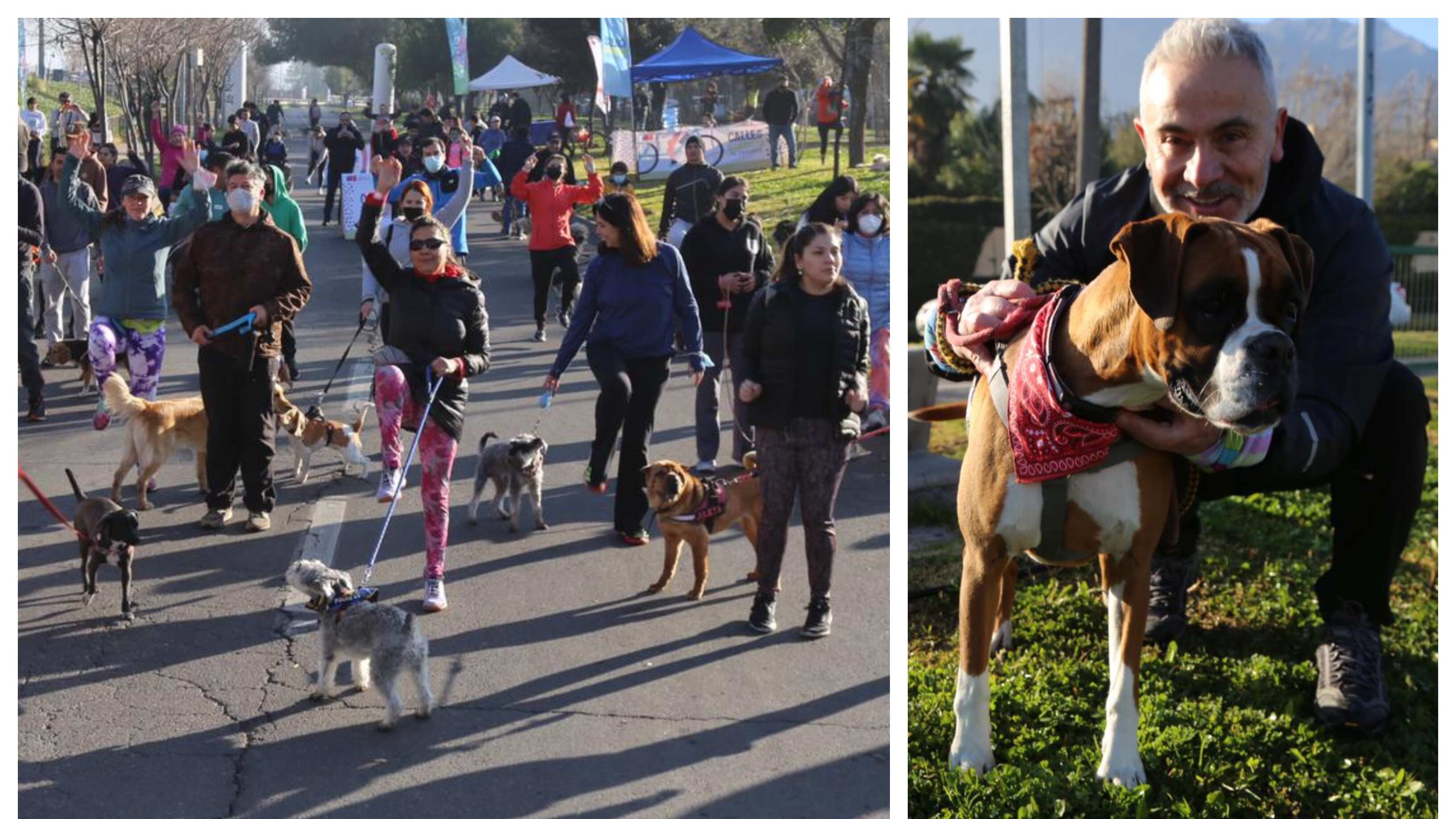 Este domingo se realizó en la comuna de La Reina una nueva corrida de vecinos con sus mascotas.