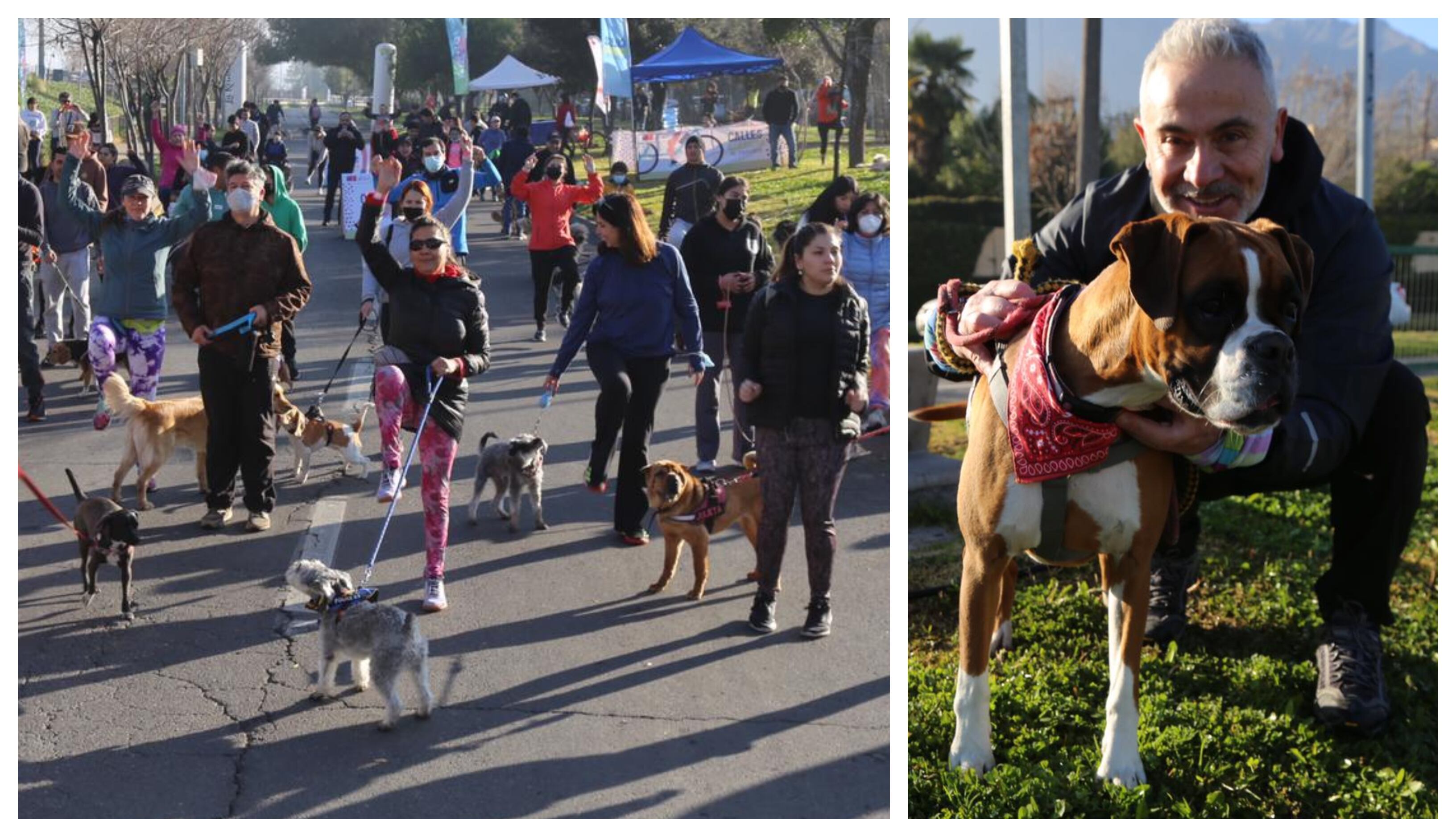 Este domingo se realizó en la comuna de La Reina una nueva corrida de vecinos con sus mascotas.