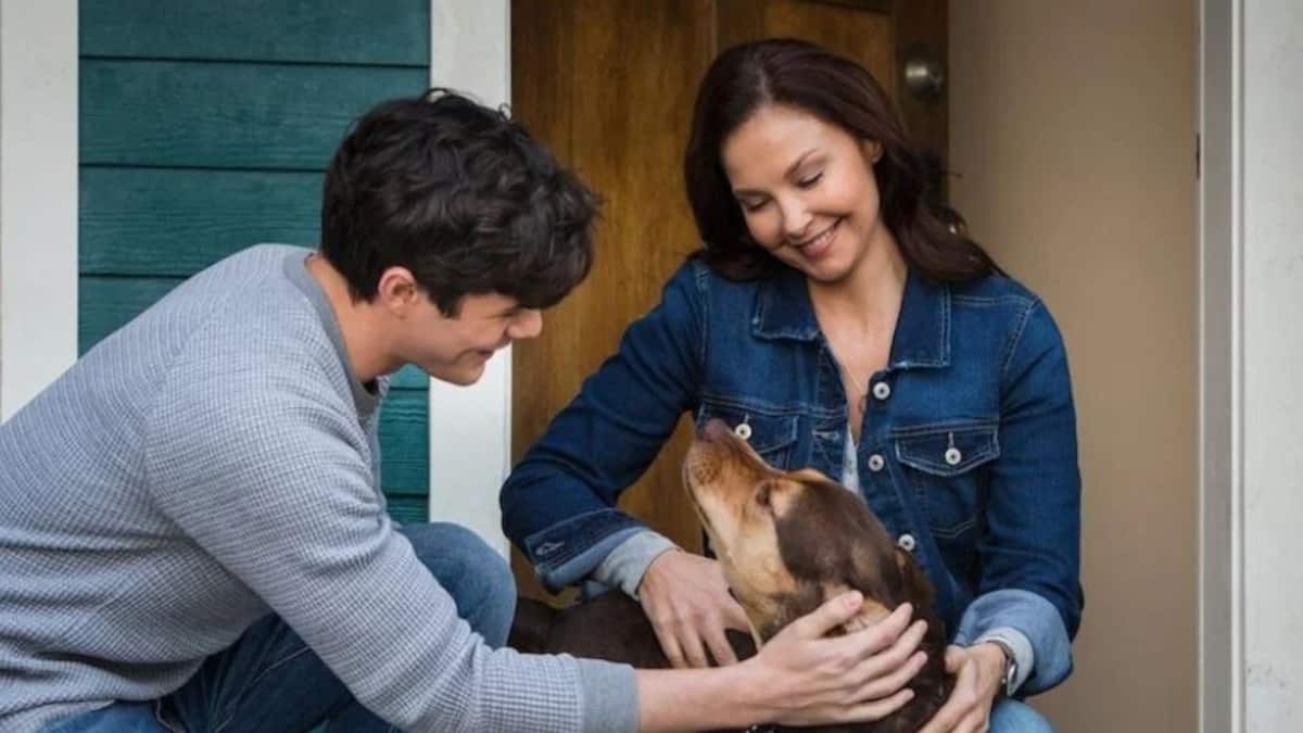 La conmovedora película basada en una emotiva historia real que está haciendo llorar a todos en Netflix