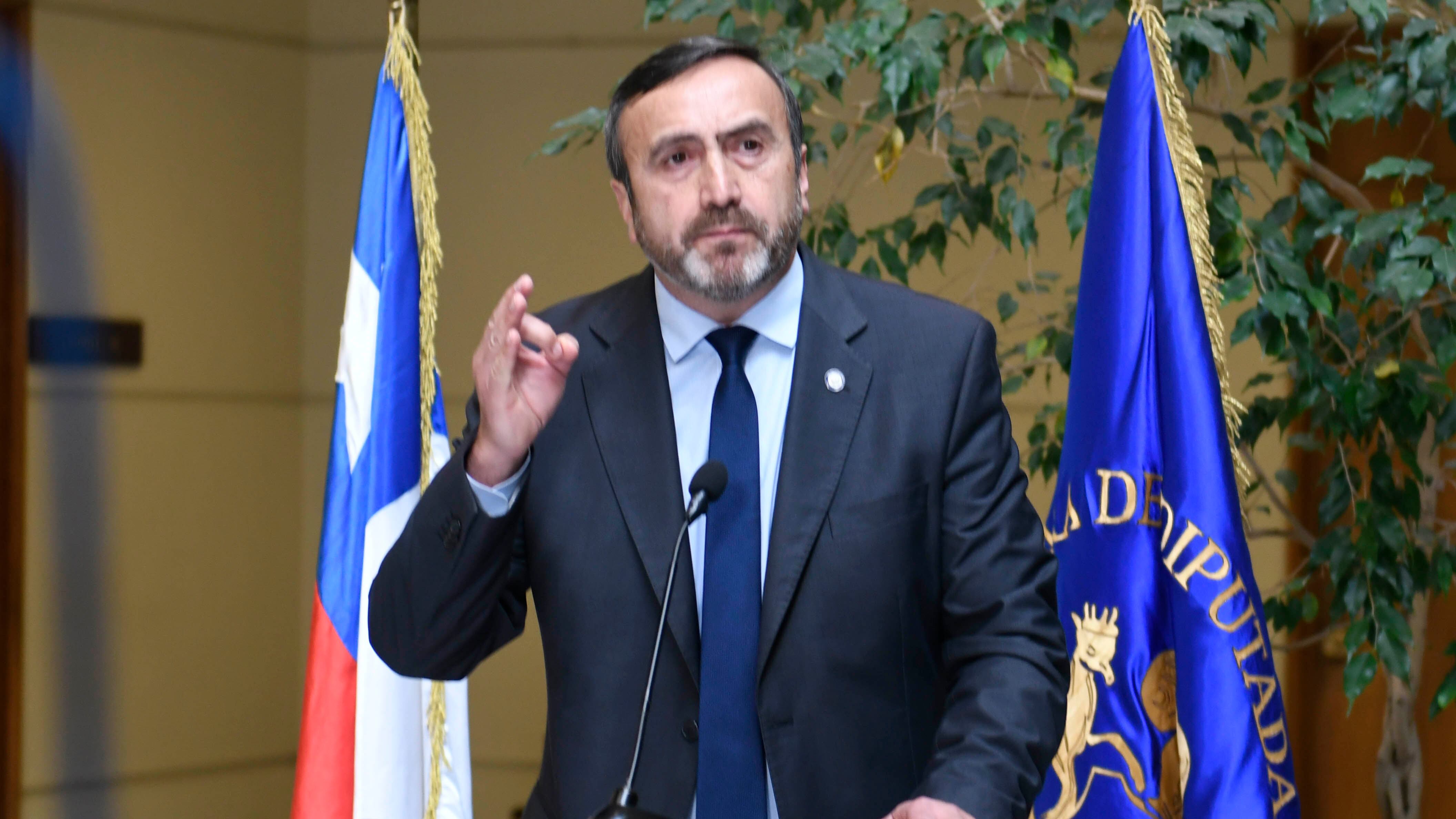 Diputado Francisco Pulgar