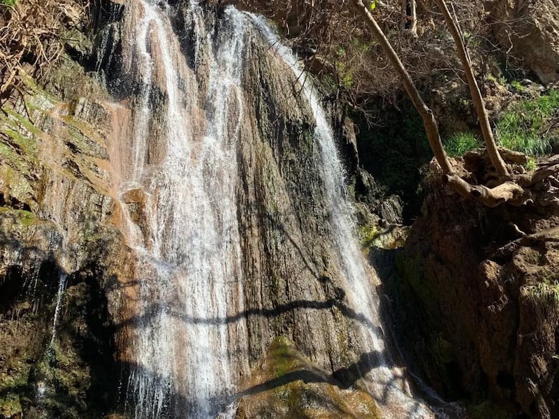 El clima casi perfecto de Los Ángeles permite disfrutar de actividades al aire libre en playas y parques durante todo el año. No obstante, también hay muchas opciones gratuitas en espacios cerrados. Foto: Discover Los Angeles.