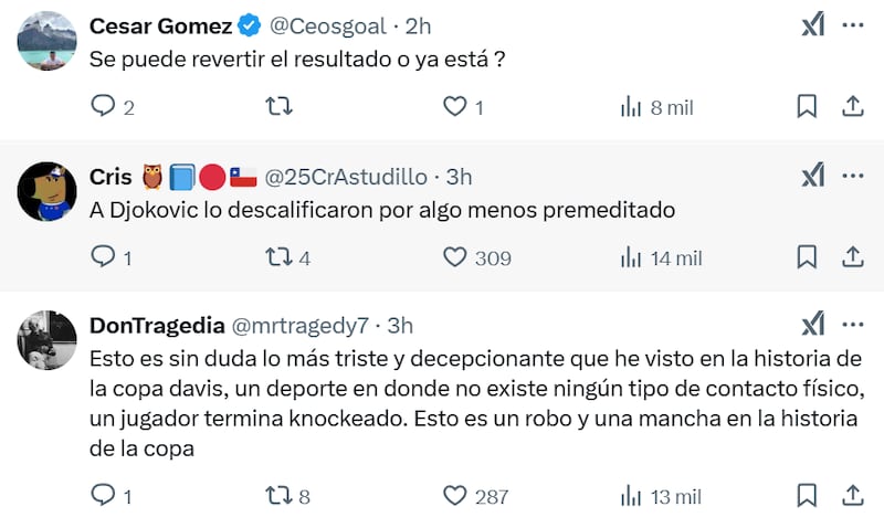 Comentarios sobre Cristian Garin | Captura: X