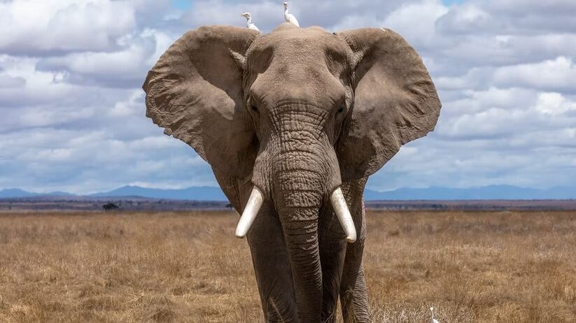 Se vivieron momentos de mucha tensión