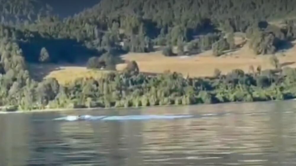 Monstruo Lago Ranco | Captura: Mega