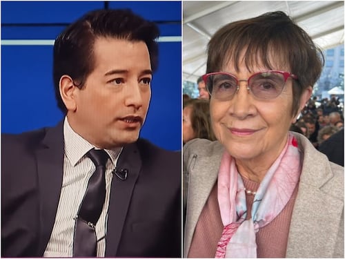 “Recibió lo que merecía”: Carmen Hertz hizo feroz comentario tras agresión a diputado Javier Olivares