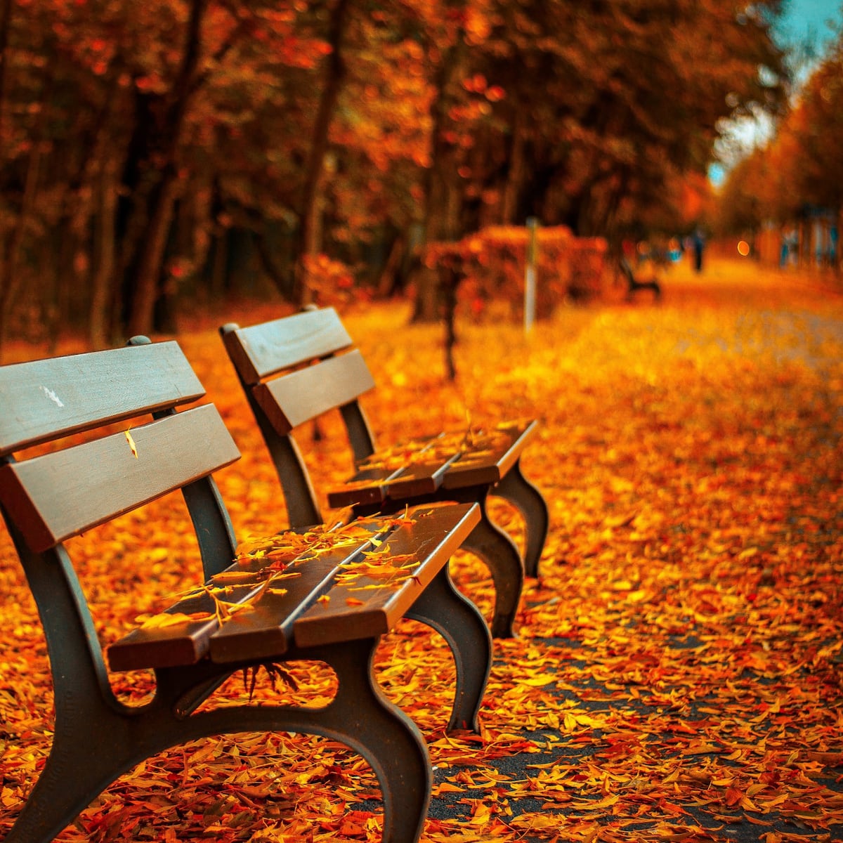 Equinoccio de otoño en Chile: Este viernes 20 de marzo Equinoccio de otoño en Chile: Este viernes 20 de marzo