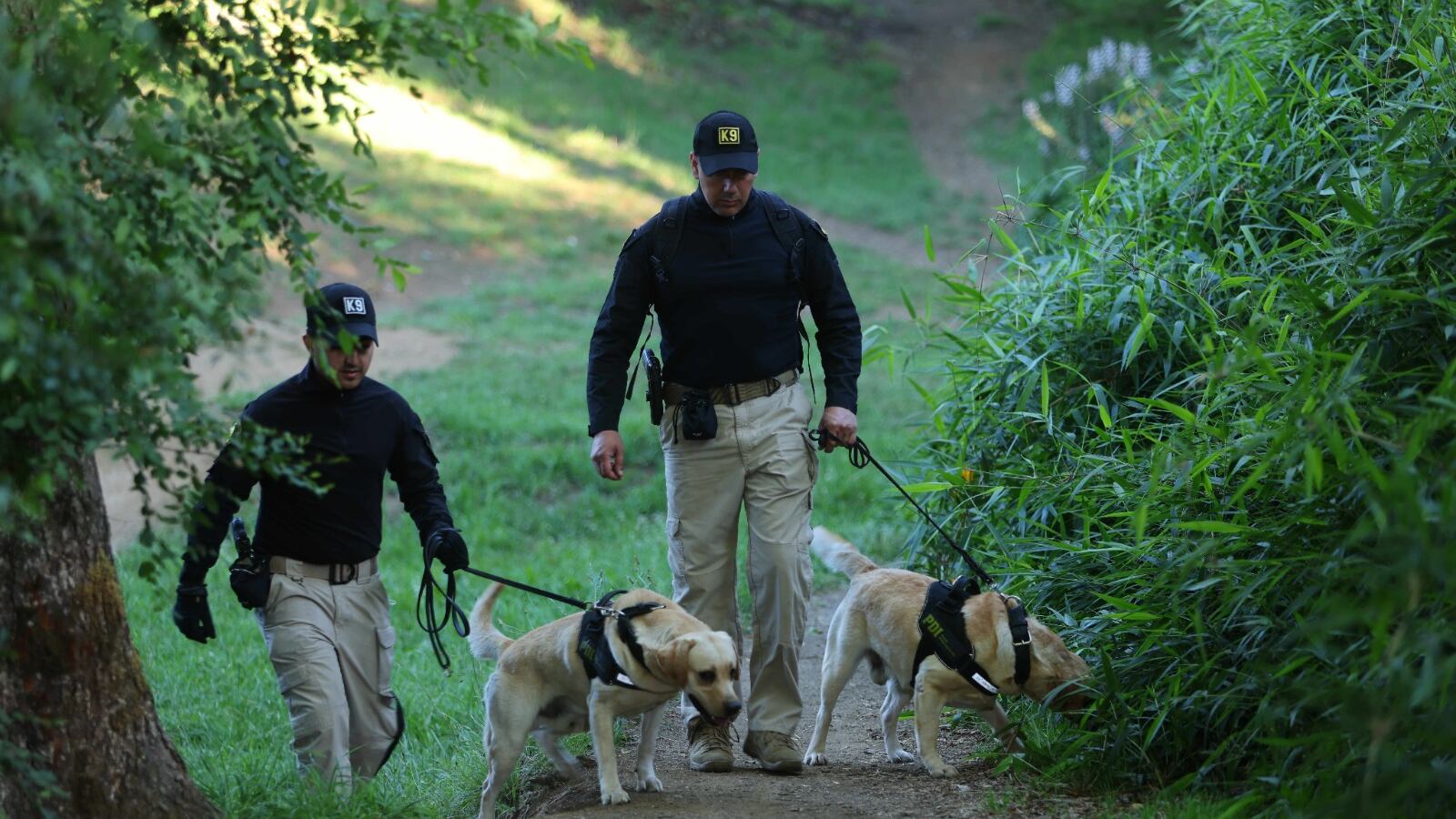 PDI abre postulaciones a agentes policiales