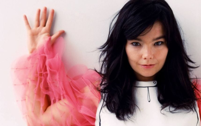 Björk llama a Groenlandia a declarar la independencia de Dinamarca