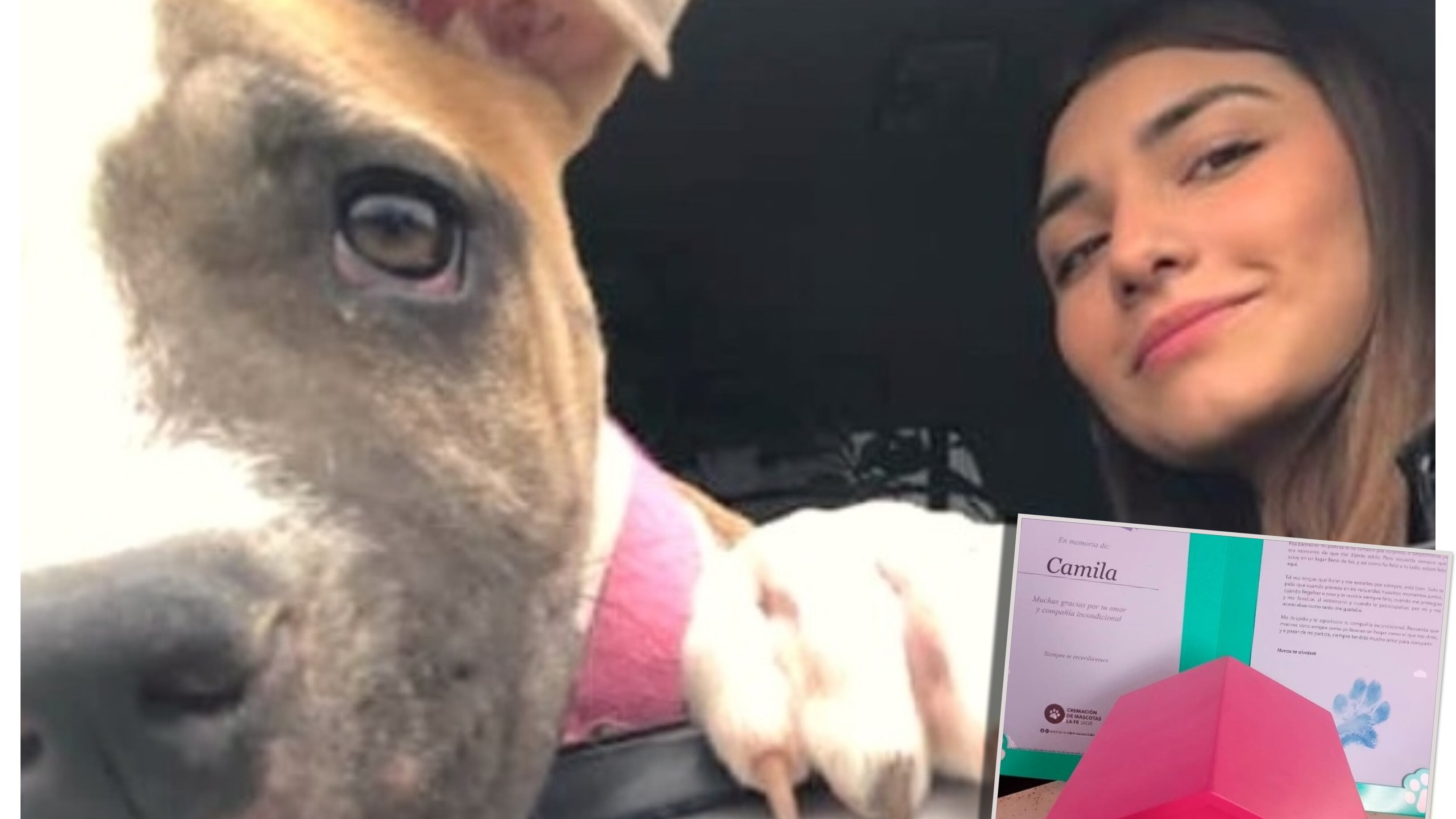 La madre de la joven fallecida en México informó del deceso de la mascota de su hija tan sólo dos días después de la pérdida.