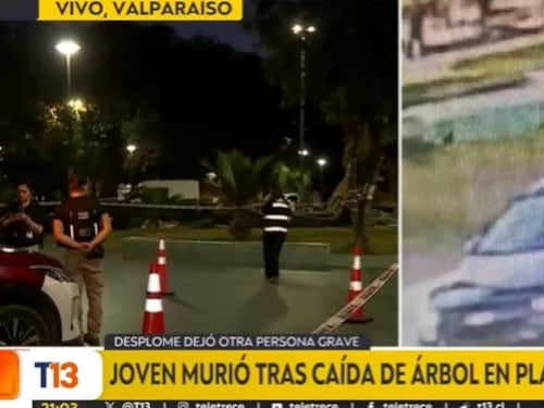 Una persona murió y otra resultó herida tras caída de árbol en Parque Italia de Valparaíso
