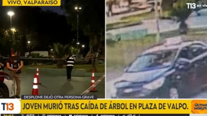 Mujer murió y otra persona resultó herida tras caída de árbol en Parque Italia de Valparaíso