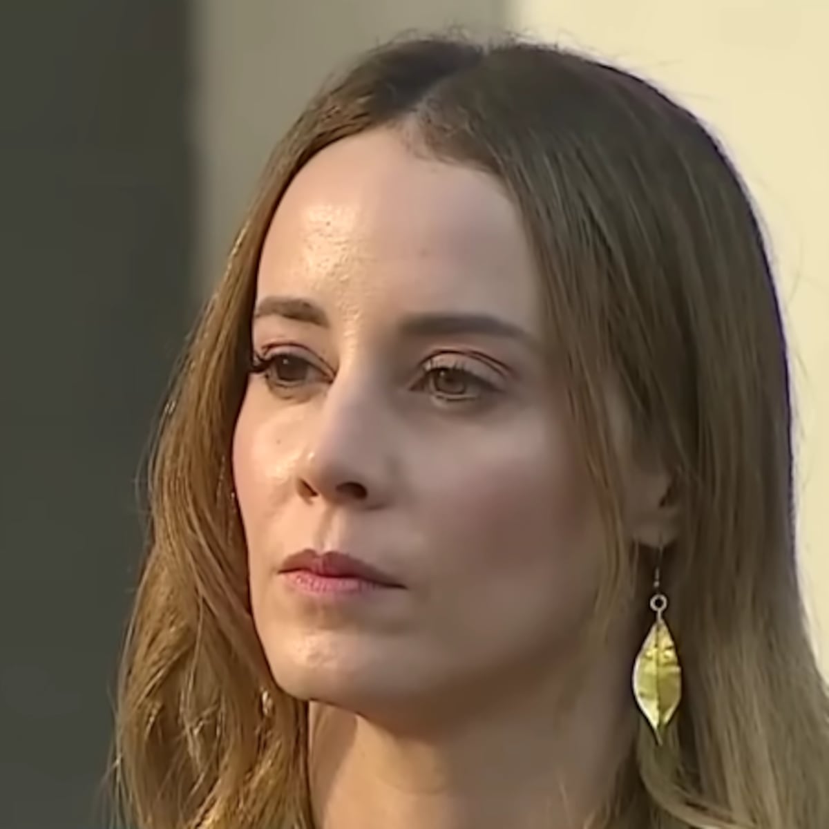 Mara Sedini corrige información sobre Galvarino Apablaza Mara Sedini corrige información sobre Galvarino Apablaza