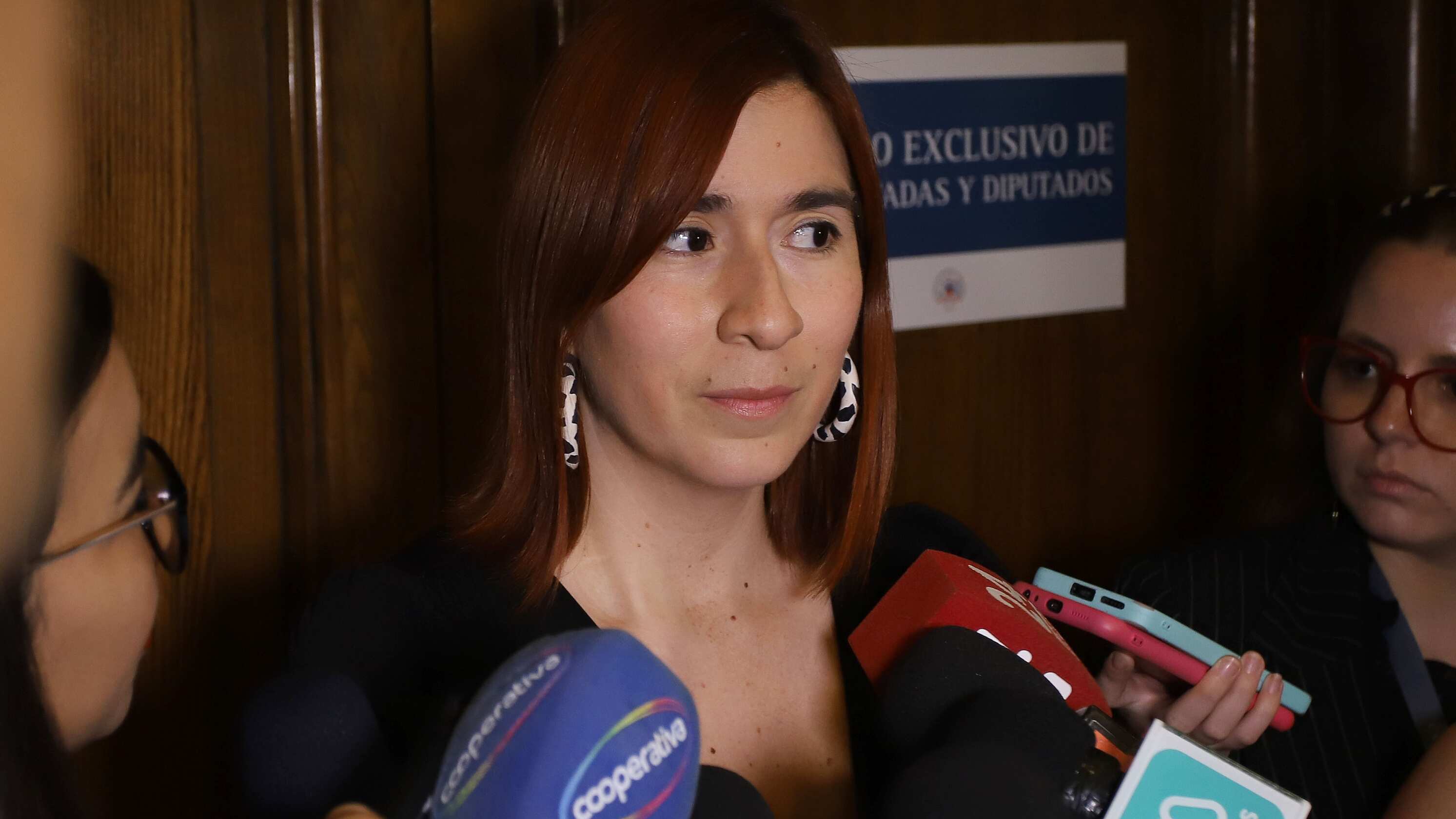La Fiscalía de Antofagasta solicitó este jueves finalmente el desafuero de la diputada Catalina Pérez como parte de las indagatorias por el caso Democracia Viva.