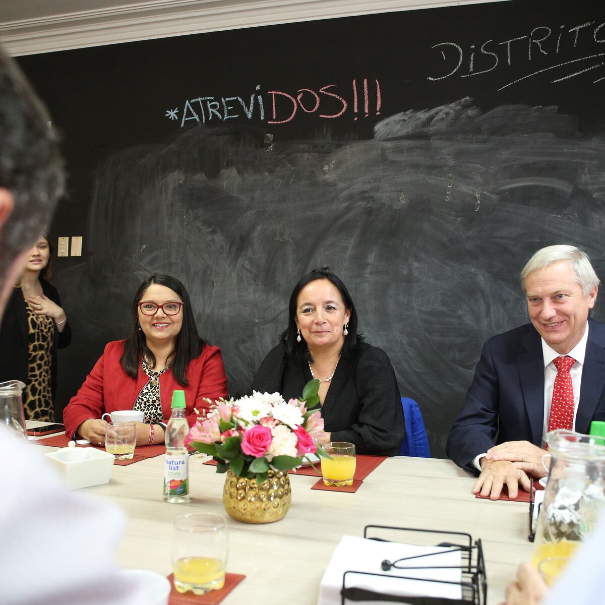 Senadora Aravena renuncia al Partido Republicano por presiones ideológicas Senadora Aravena renuncia al Partido Republicano por presiones ideológicas