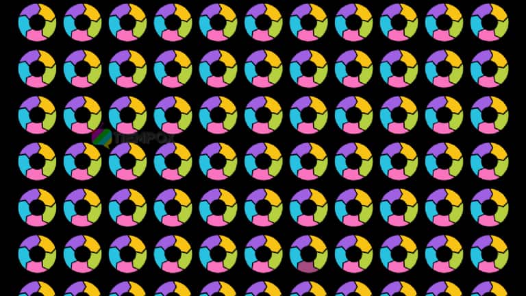 Encuentra el círculo oculto.