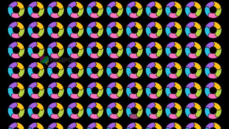 Encuentra el círculo oculto.