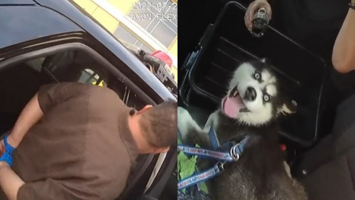 El hecho ocurrió en Las Vegas