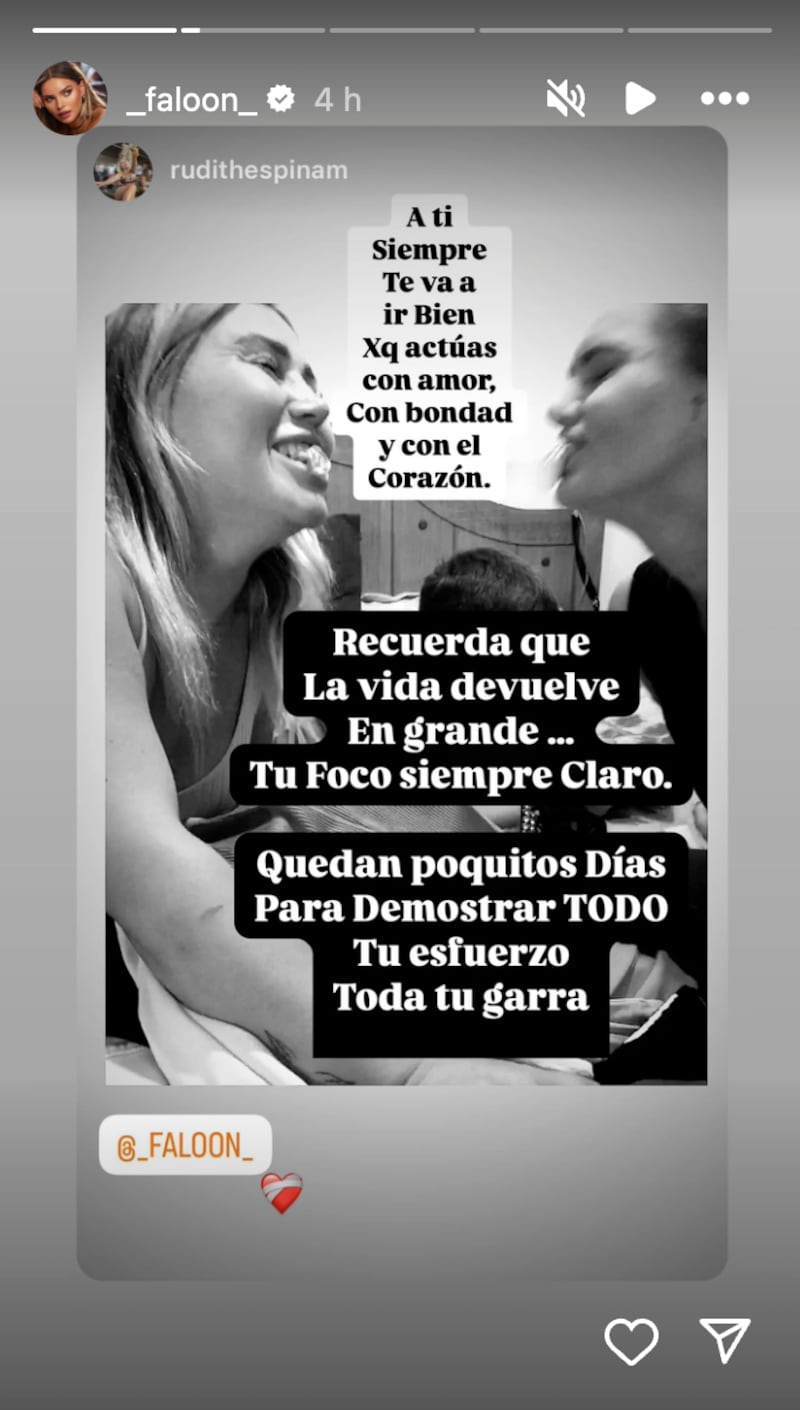 Historia de Faloon Larraguibel | Fuente: Instagram @_faloon_