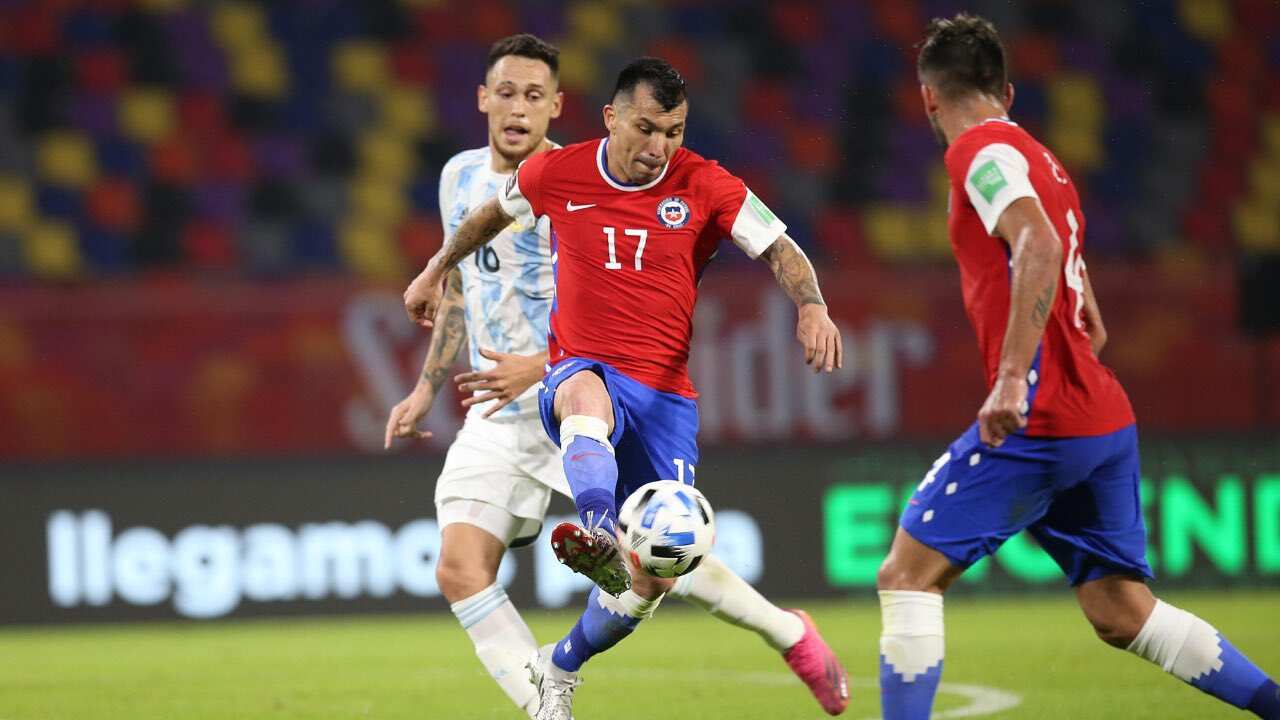 El Pitbull Medel en acción.