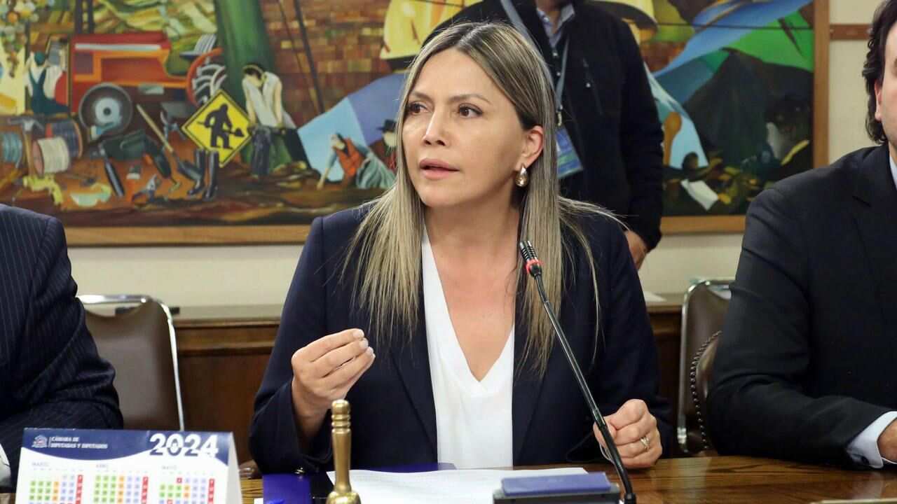 Diputada Marlene Pérez exige medidas urgentes tras homicidio número 100 en lo que va del año en la región del Biobío: Pide mayor inversión en seguridad en Ley de Presupuesto 2025