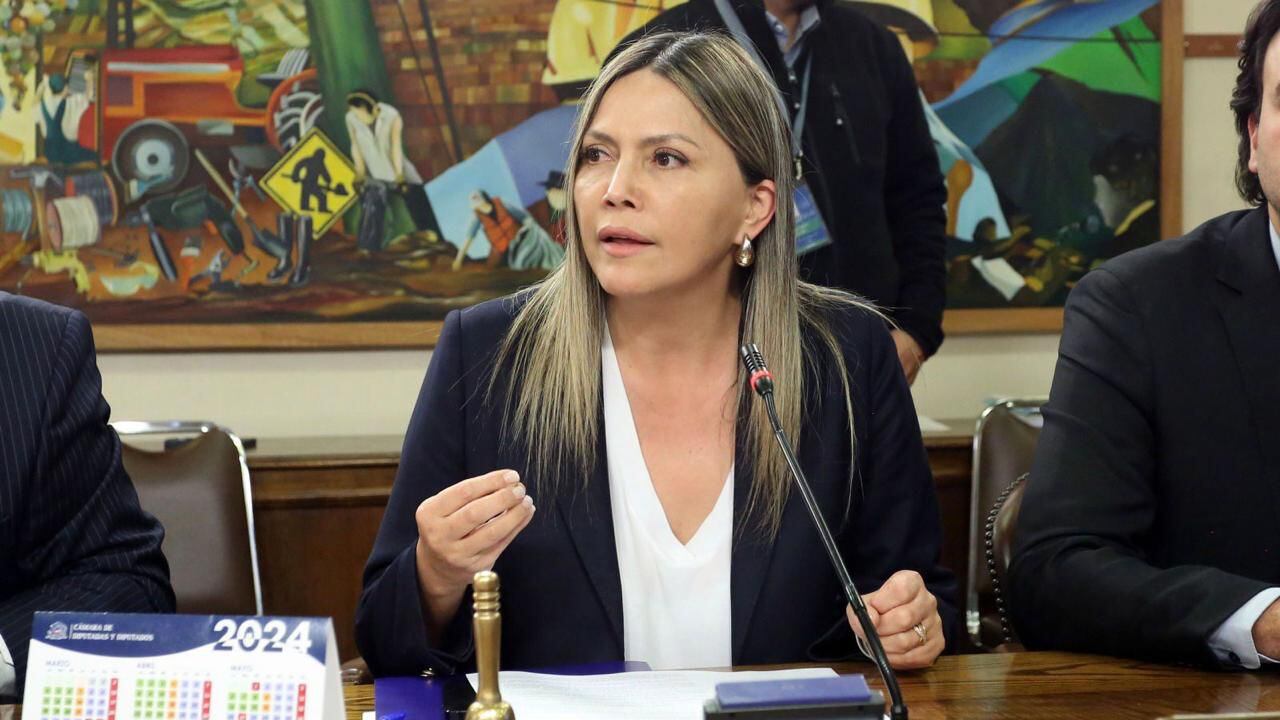 Diputada Marlene Pérez exige medidas urgentes tras homicidio número 100 en lo que va del año en la región del Biobío: Pide mayor inversión en seguridad en Ley de Presupuesto 2025