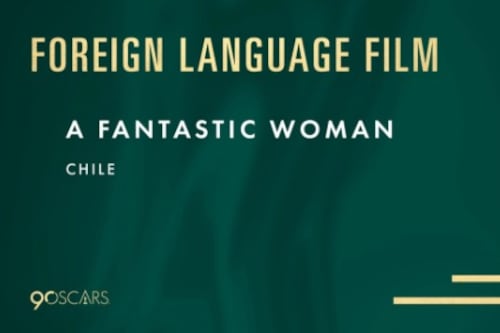 “Dijo la picá”: periodista libanesa cuestionó el triunfo de “Una mujer fantástica” en los Oscars y recibió una colección de “chilenismos”